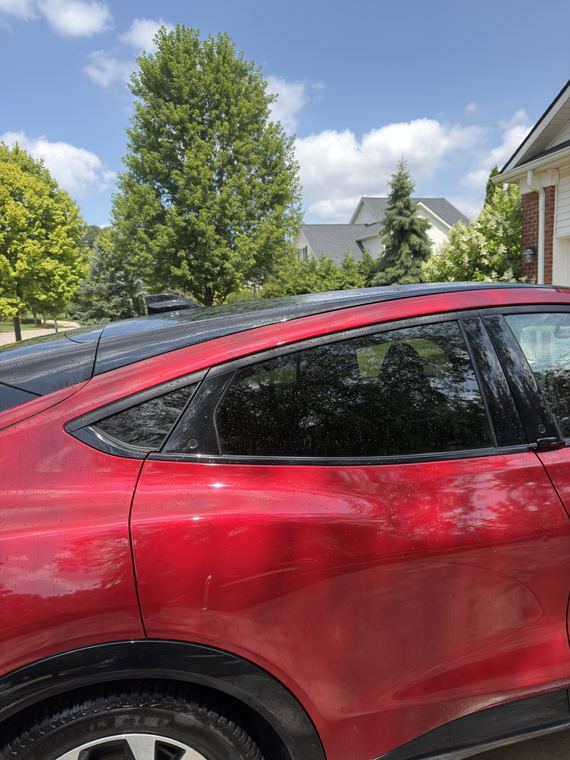 Mustang Mach-E, paint after wash after detailing by Aero Detailing, South Lyon MI
